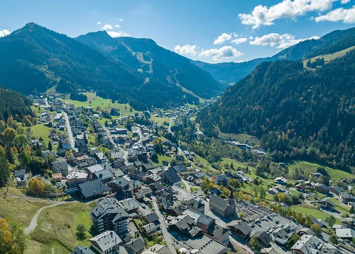 The View - 03 - Bo Immobilier - Remises Sur Les Forfaits De Skis Ou Portes Du Soleil Appartement